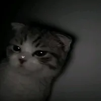 original sound - twitchxvecibanda