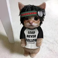 Im so used to winnin