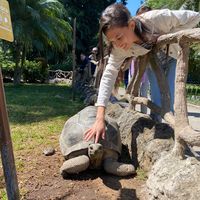 alisonyong6