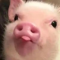 原聲