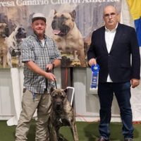 oldworldpresacanario