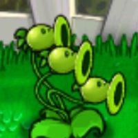 pvz.peashooter
