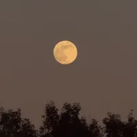 original sound - danaly_6