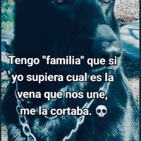 elsantitossantos06969