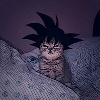 goku._.6011