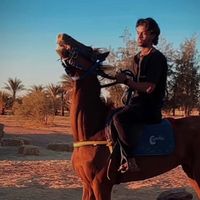 الصوت الأصلي
