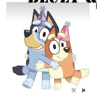 blueybingolife