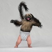 chipepsiphil
