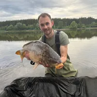 original sound - carp_week