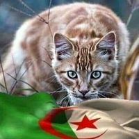 _yacine..dzr_