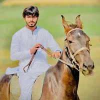 original sound - babar_rajput_official47