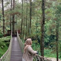 suara asli - Dessykus