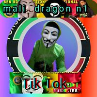 dragonn1malidragon