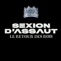 original sound - sexiondassaut.tiktok