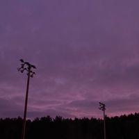grape_ppaperddragon