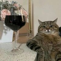 sonido original - Lionel Maquera