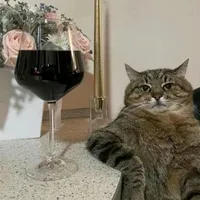 original sound - lionelmaq