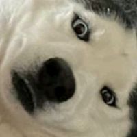 sonido original - Legomex