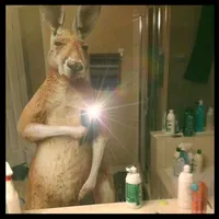 original sound - tolykoo