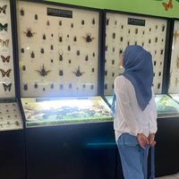 suara asli - BuGuruRia