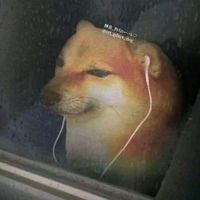 liyin_et_dog