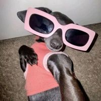 fotosparafinjirqerestu