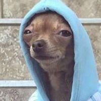 πρωτότυπος ήχος