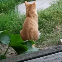 lucky_09_23_2023
