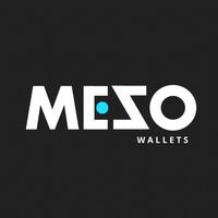 mezo.sae