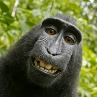 original sound - ian1ed