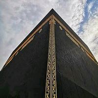 hamii_writes4