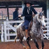 maria_luizacasagranda