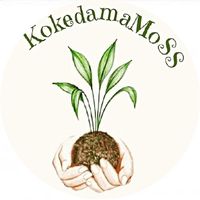 kokedama_moss