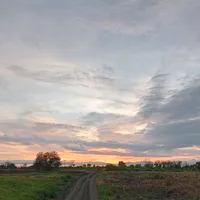 original sound - sf_francoo