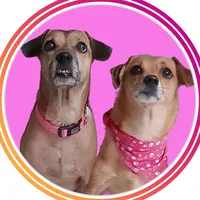 Lá vem a humana me filmando