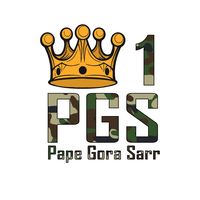 pgsking1