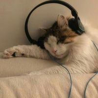 original sound