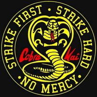 cobra.kai.for.life8