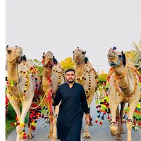 sheikhsubi007