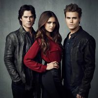 tvd_diary_