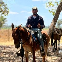 francisco.bezerra454