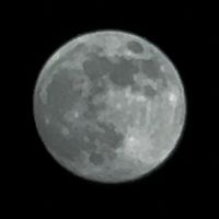 گل به گل قصه کند