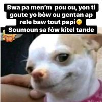 son original