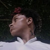 _mendex01