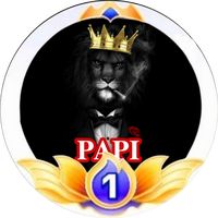 p_a_p_i_1