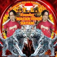 original sound - falcao_palala