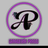 alexis_prado96