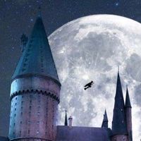 hogwart_reakcje_hp.boys