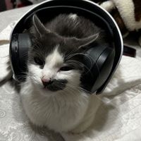 birutasloucosporsabiduri