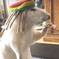 sonido original